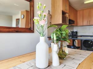 To Let 2 Bedroom Property for Rent in Green Point Western Cape